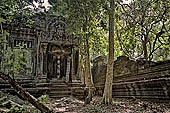 Angkor - ruins of Beng Mealea